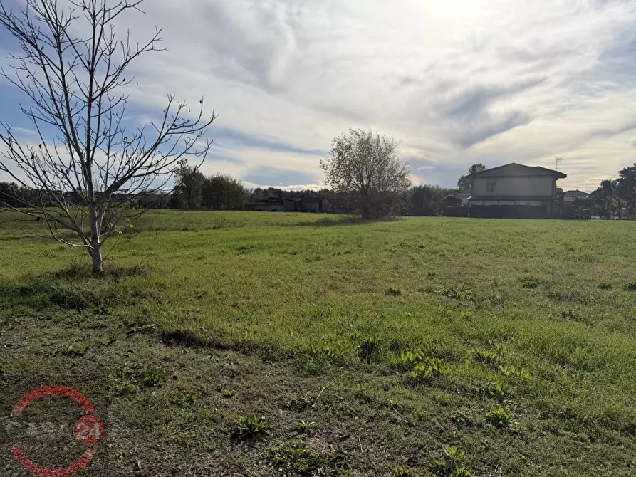 Immagine 6 di Terreno agricolo in vendita  in strada quartaccio a Latina