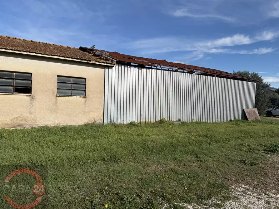 Immagine 7 di Terreno agricolo in vendita  in strada quartaccio a Latina