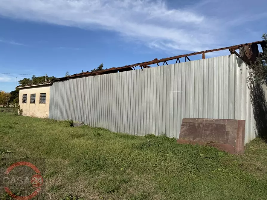 Immagine 8 di Terreno agricolo in vendita  in strada quartaccio a Latina