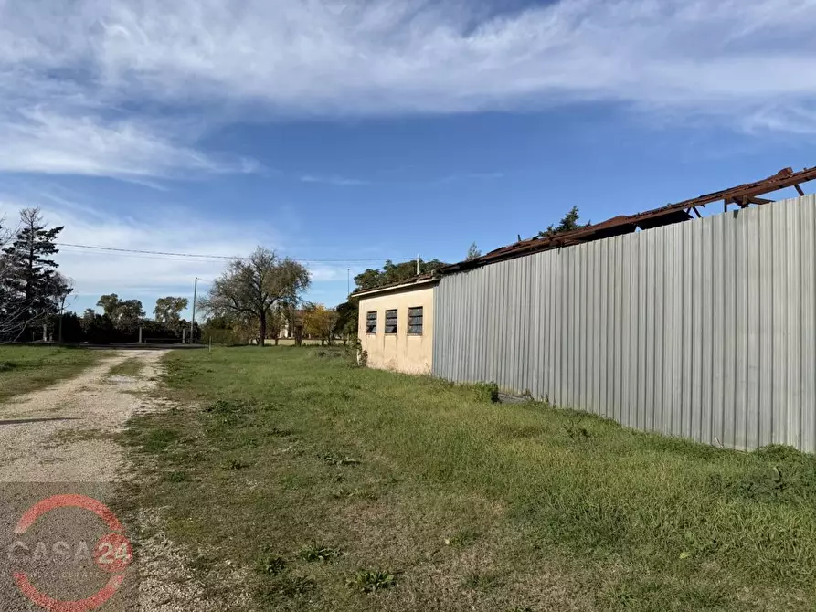 Immagine 9 di Terreno agricolo in vendita  in strada quartaccio a Latina