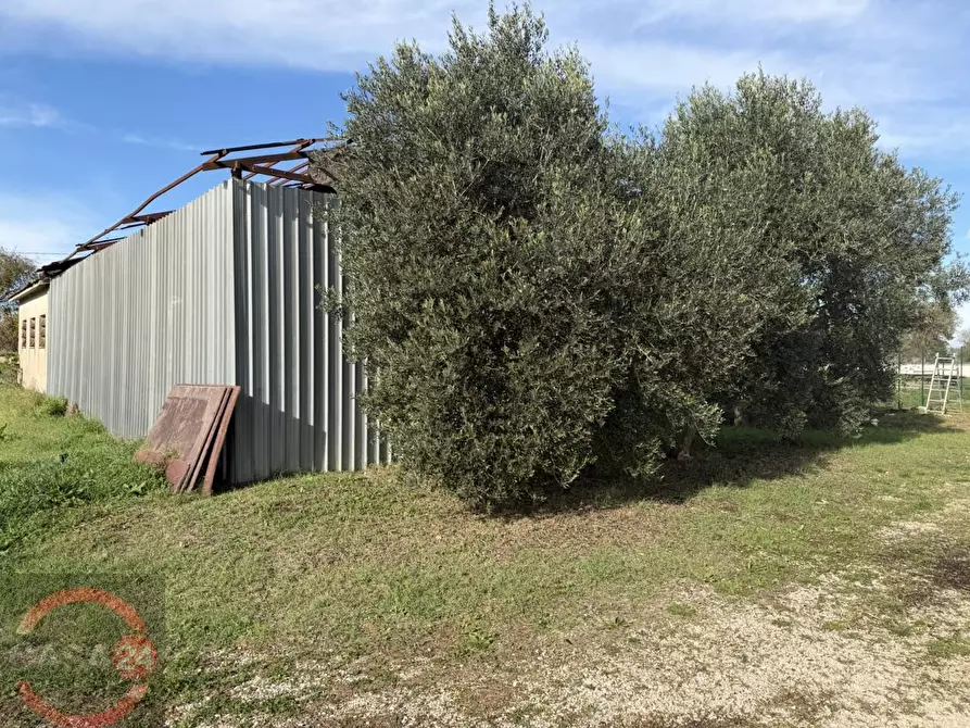 Immagine 10 di Terreno agricolo in vendita  in strada quartaccio a Latina