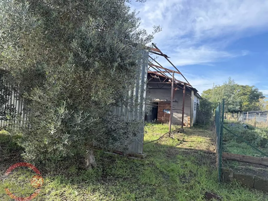 Immagine 11 di Terreno agricolo in vendita  in strada quartaccio a Latina
