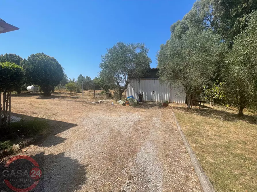 Immagine 8 di Villa in vendita  in Strada Cavatella a Bassiano