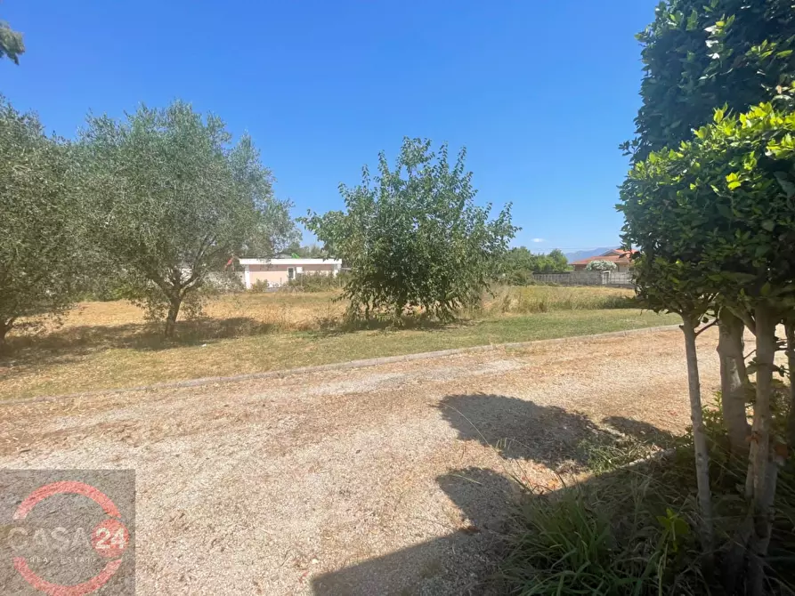 Immagine 9 di Villa in vendita  in Strada Cavatella a Bassiano