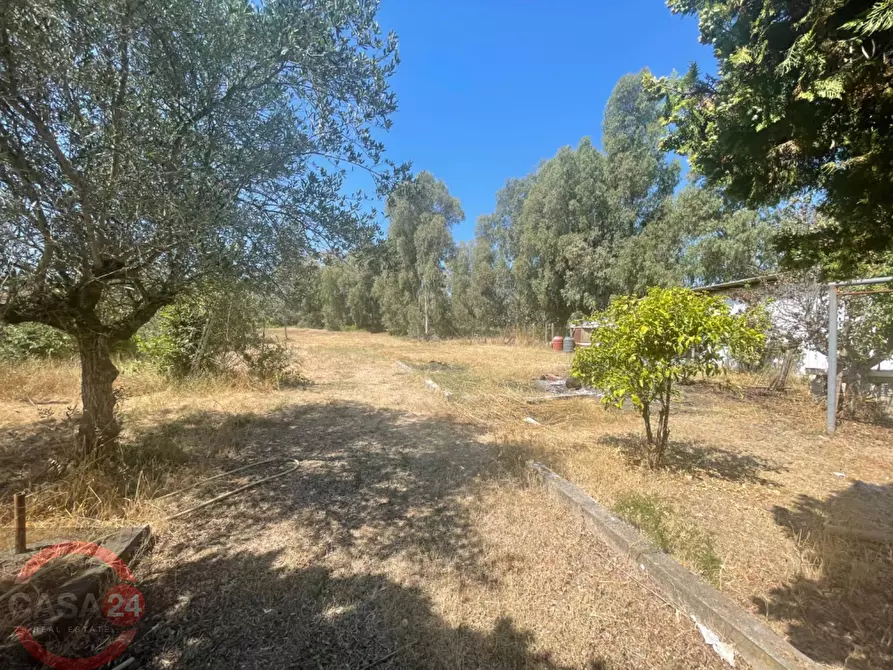 Immagine 11 di Villa in vendita  in Strada Cavatella a Bassiano