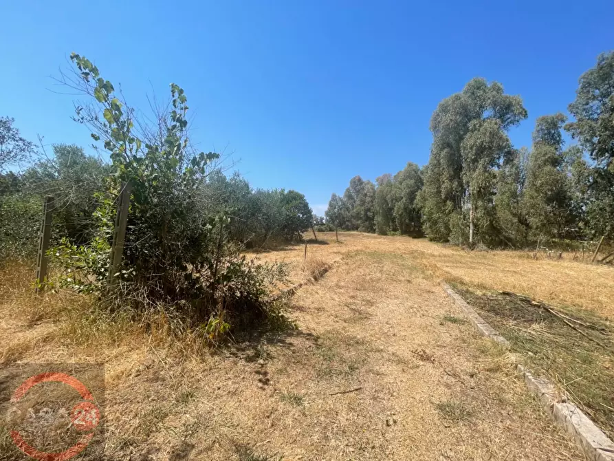 Immagine 13 di Villa in vendita  in Strada Cavatella a Bassiano