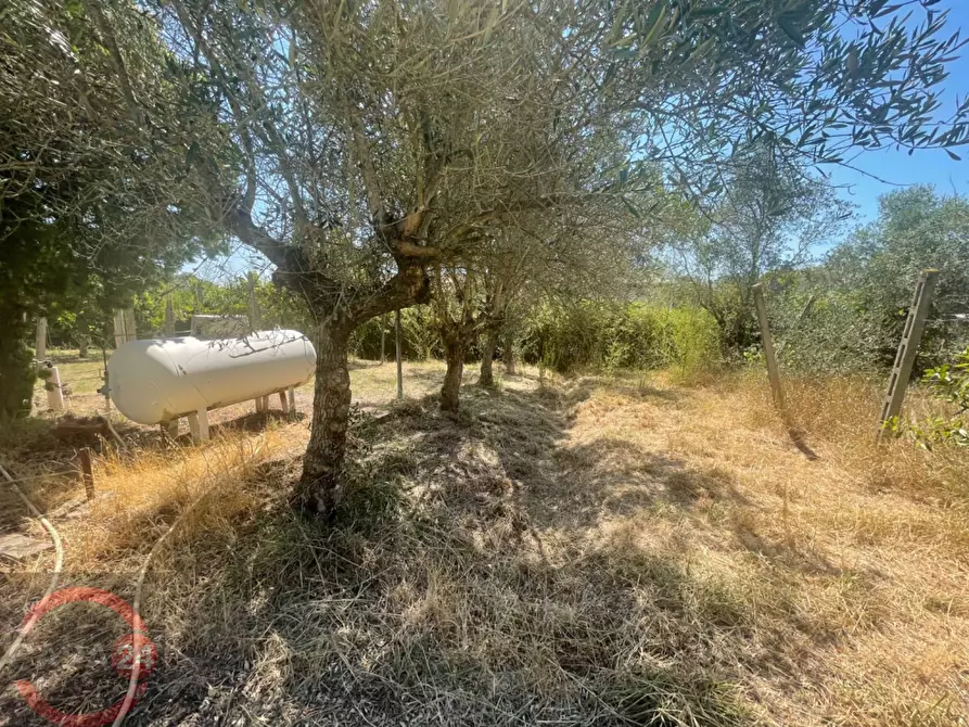 Immagine 14 di Villa in vendita  in Strada Cavatella a Bassiano