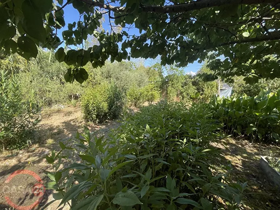 Immagine 17 di Casa indipendente in vendita  in strada torre moresca a Latina