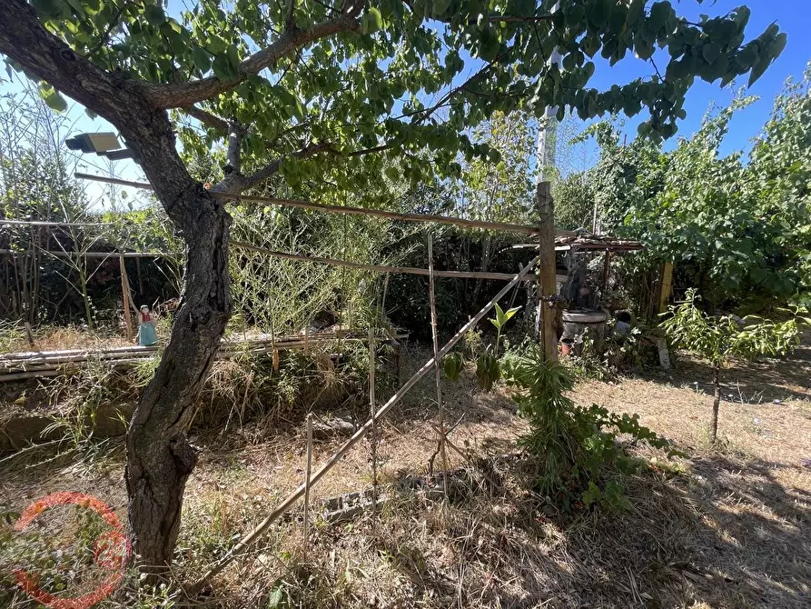 Immagine 28 di Casa indipendente in vendita  in strada torre moresca a Latina