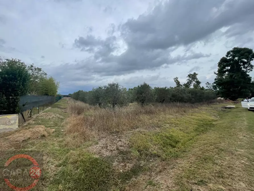 Immagine 2 di Terreno agricolo in vendita  in via dell'anatra a Bassiano