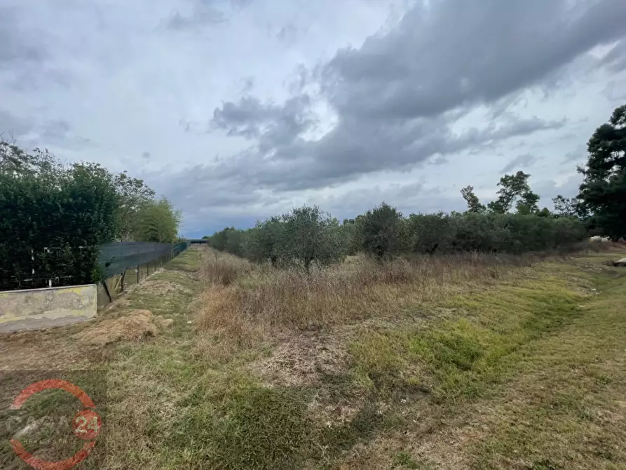 Immagine 3 di Terreno agricolo in vendita  in via dell'anatra a Bassiano