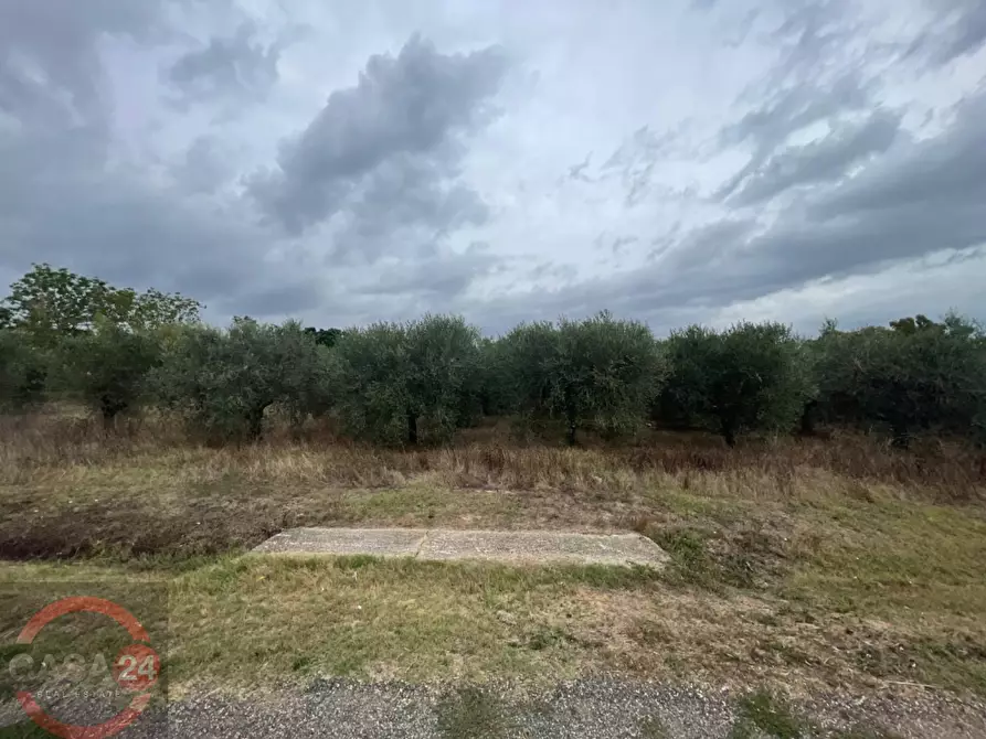 Immagine 7 di Terreno agricolo in vendita  in via dell'anatra a Bassiano