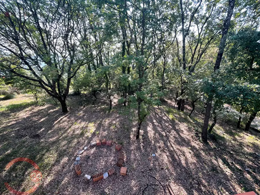 Immagine 5 di Villa in vendita  in Via Foresta Primo tratto a Sezze