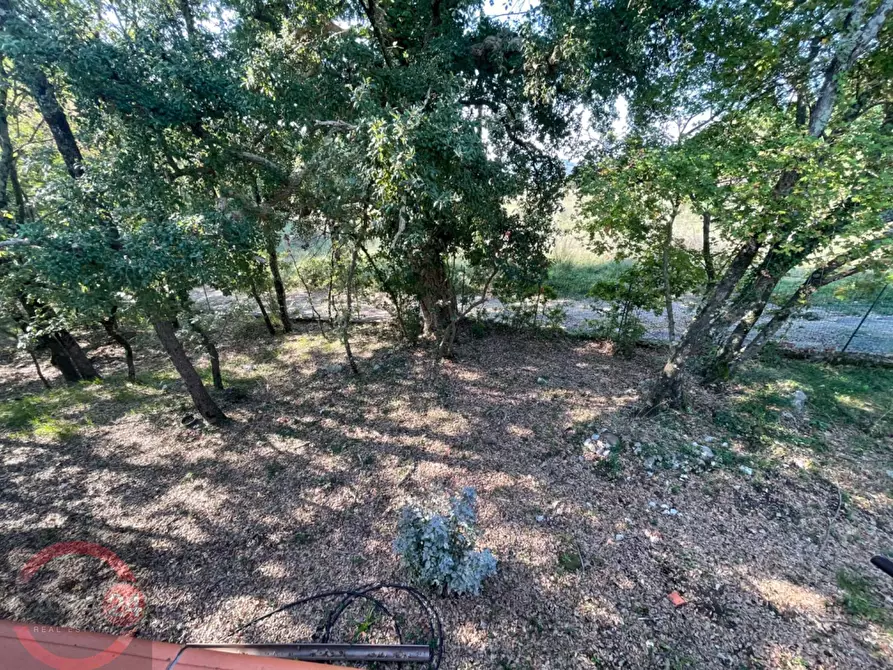 Immagine 6 di Villa in vendita  in Via Foresta Primo tratto a Sezze