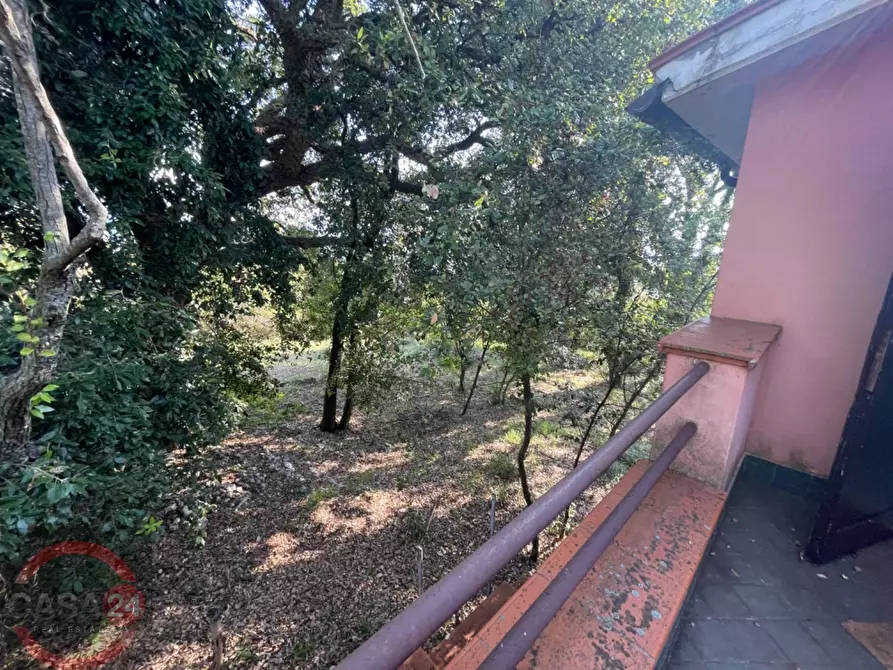 Immagine 18 di Villa in vendita  in Via Foresta Primo tratto a Sezze