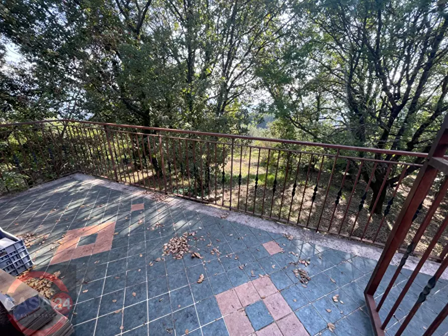 Immagine 21 di Villa in vendita  in Via Foresta Primo tratto a Sezze