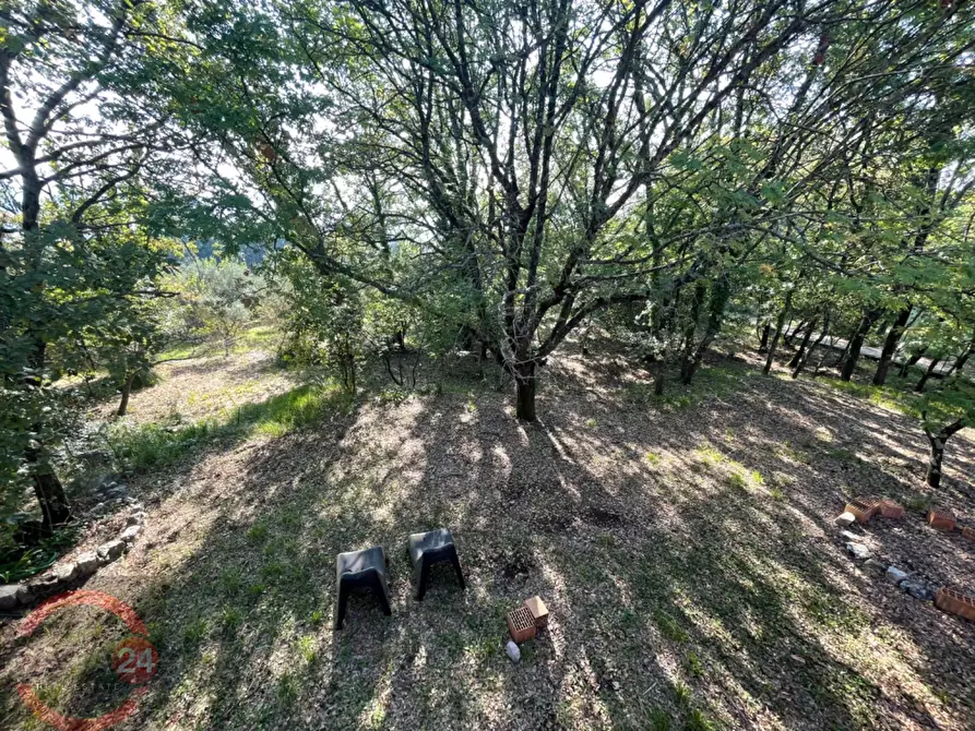 Immagine 24 di Villa in vendita  in Via Foresta Primo tratto a Sezze