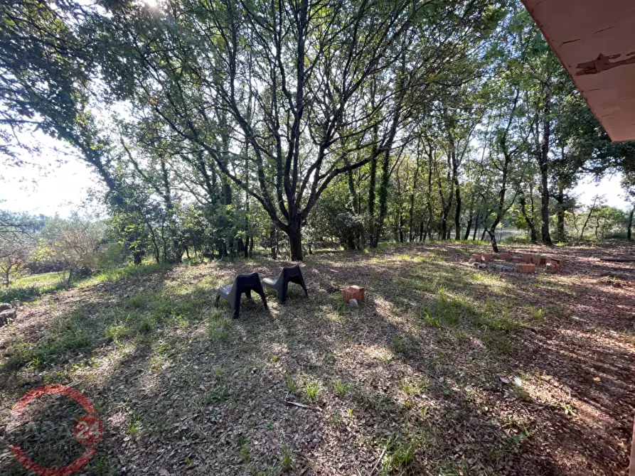 Immagine 30 di Villa in vendita  in Via Foresta Primo tratto a Sezze