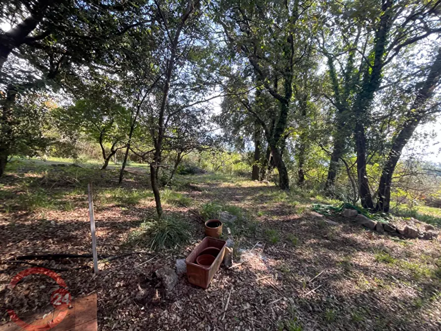 Immagine 31 di Villa in vendita  in Via Foresta Primo tratto a Sezze