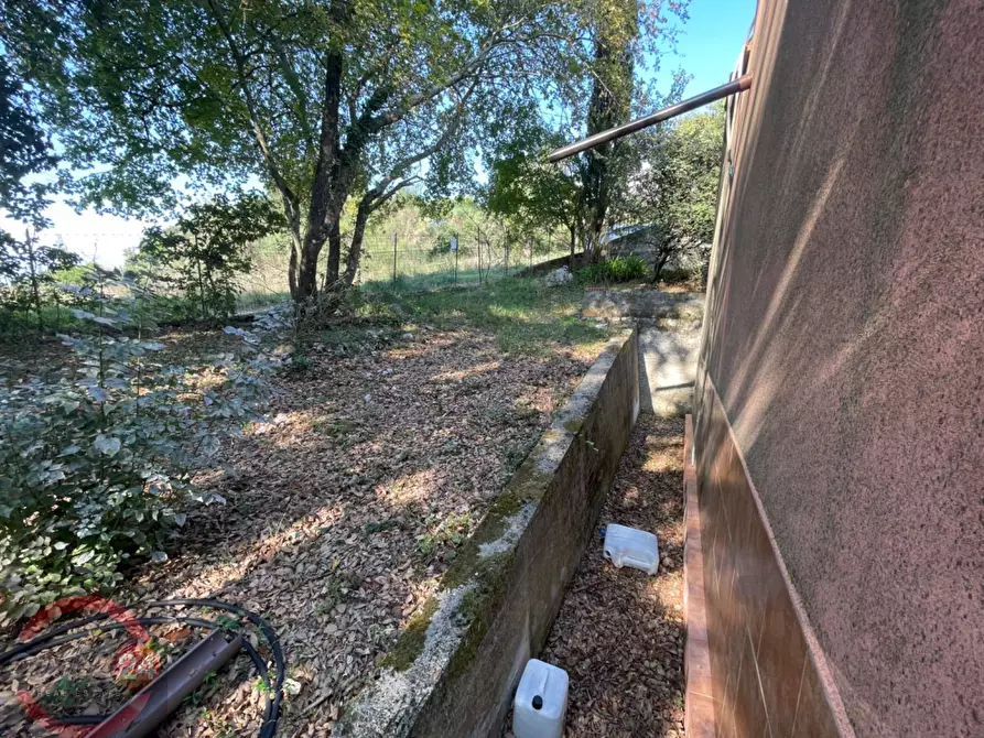 Immagine 55 di Villa in vendita  in Via Foresta Primo tratto a Sezze