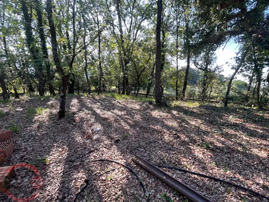 Immagine 56 di Villa in vendita  in Via Foresta Primo tratto a Sezze