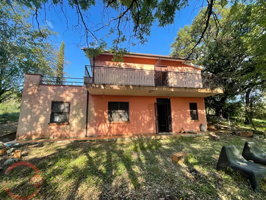 Immagine 58 di Villa in vendita  in Via Foresta Primo tratto a Sezze