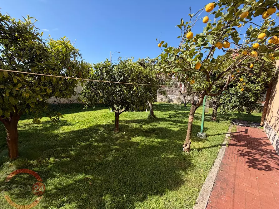 Immagine 29 di Villa in vendita  in Strada Carrara a Latina