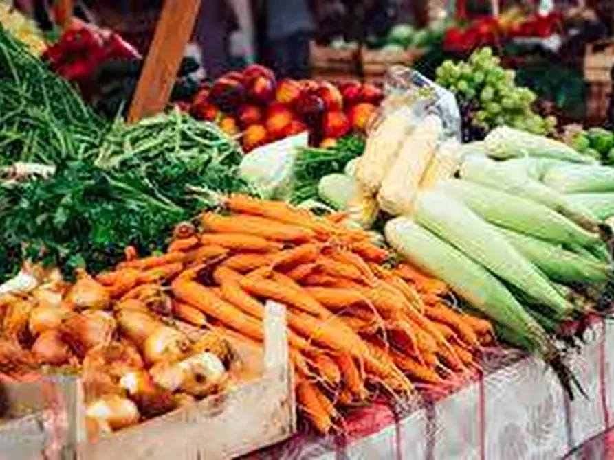 Immagine 3 di Attività commerciale in vendita  a Latina