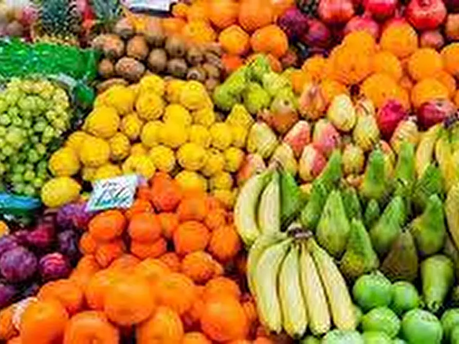 Immagine 8 di Attività commerciale in vendita  a Latina