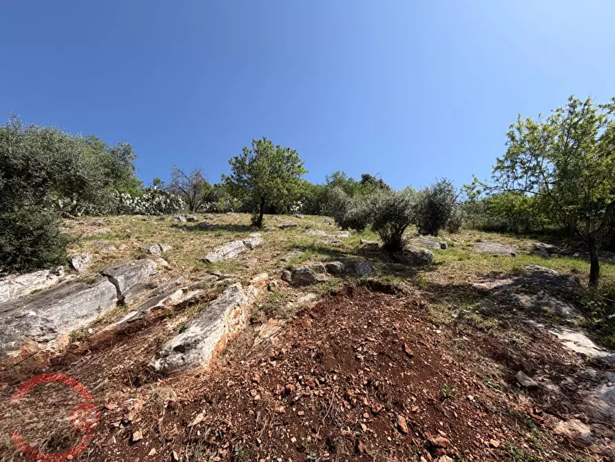 Immagine 111 di Villa in vendita  in Via Nuova a Sezze