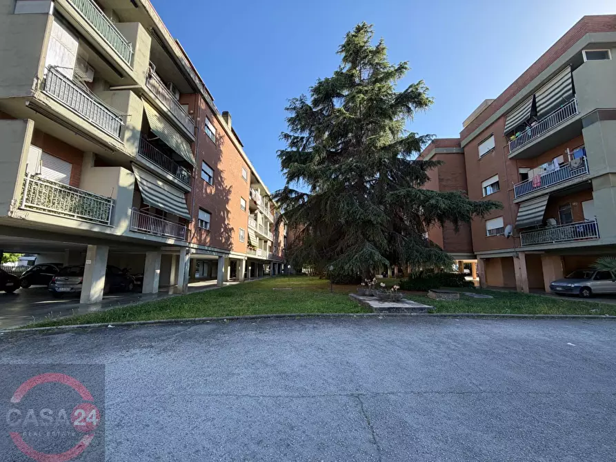Immagine 11 di Appartamento in vendita  in Viale Paganini a Latina