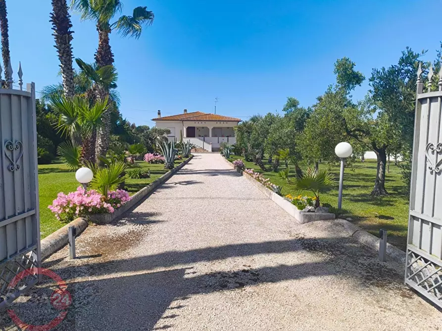 Immagine 4 di Villa in vendita  in via Pontina km 80 a Latina