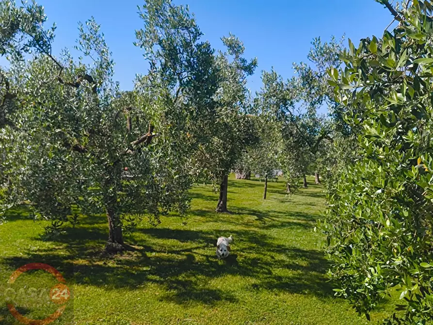 Immagine 39 di Villa in vendita  in via Pontina km 80 a Latina