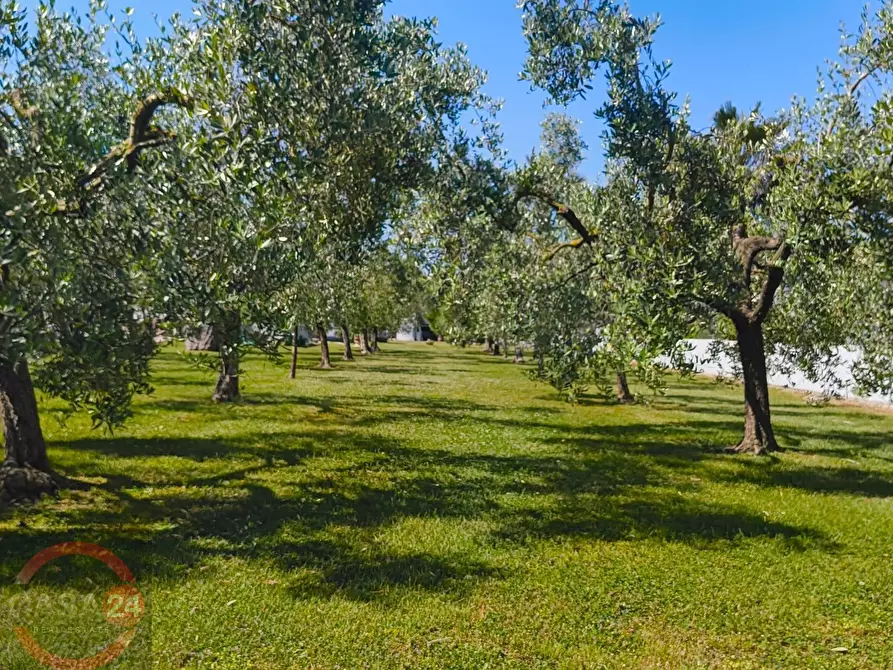 Immagine 47 di Villa in vendita  in via Pontina km 80 a Latina