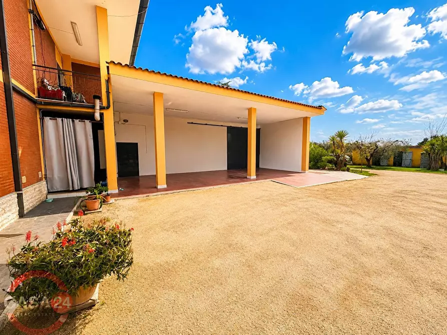 Immagine 4 di Villa in vendita  in Via Pontina, Km 80 a Latina
