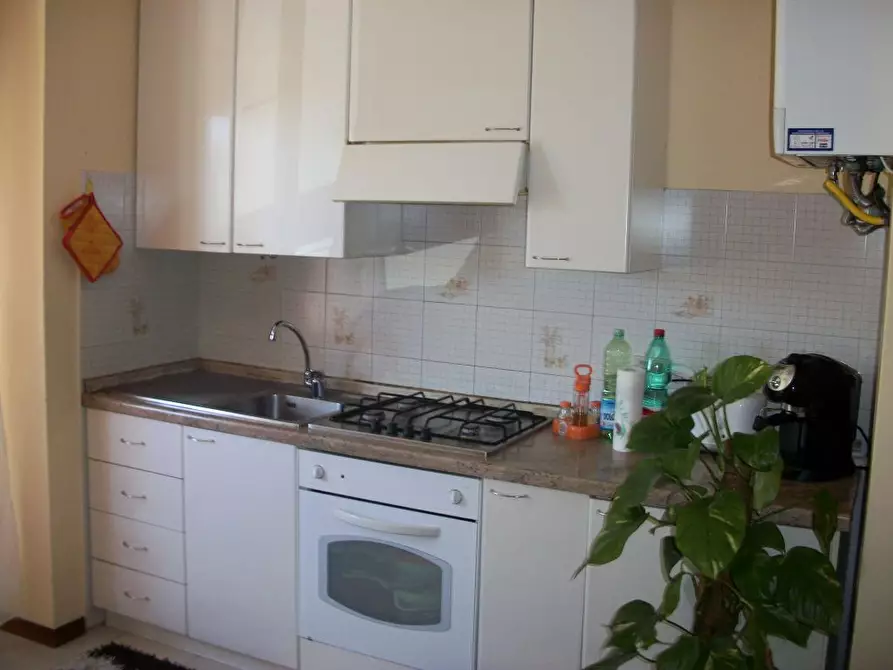 Immagine 3 di Appartamento in affitto  in Via Pungilupo a Pisa