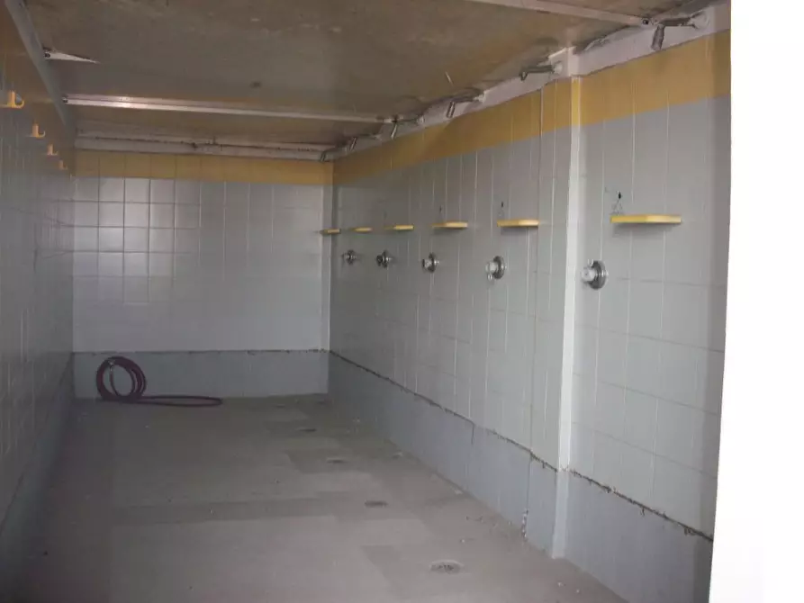 Immagine 7 di Attività commerciale in affitto  in Via Giosue' Carducci a Pisa