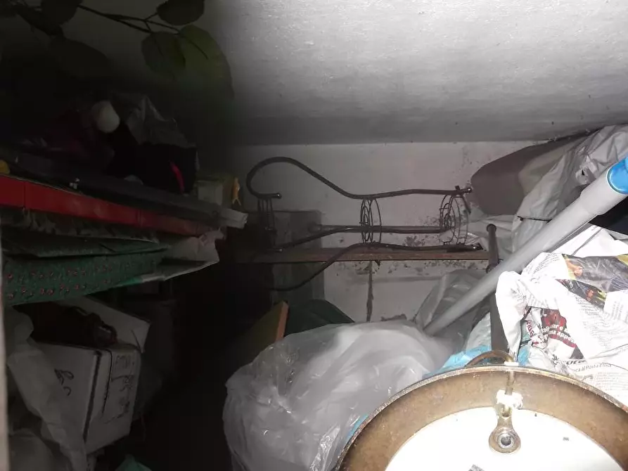 Immagine 8 di Camera in affitto  in via rindi a Pisa