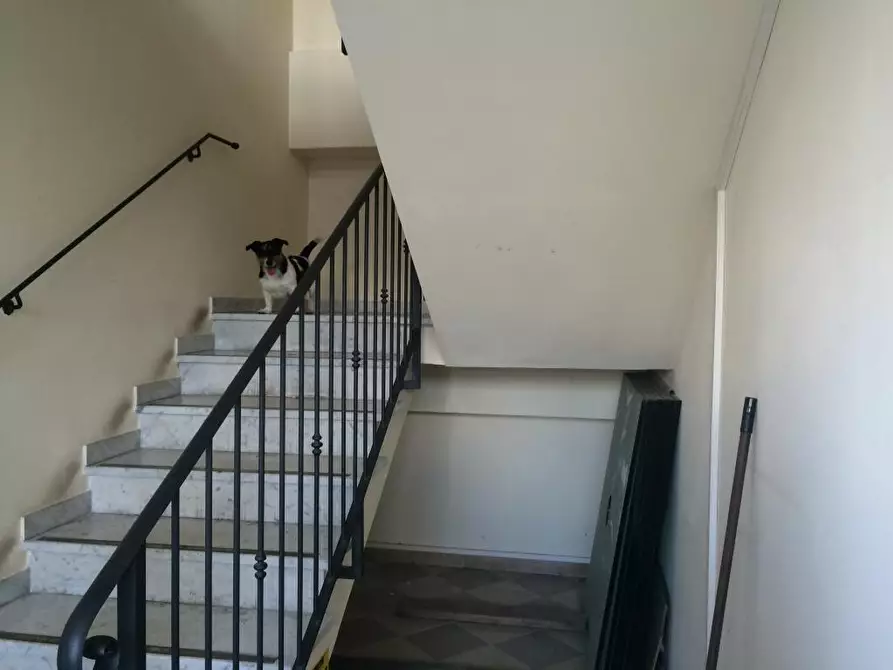 Immagine 10 di Ufficio in affitto  in via lenin - a San Giuliano Terme