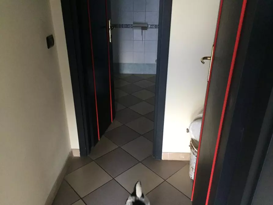 Immagine 13 di Ufficio in affitto  in via lenin - a San Giuliano Terme