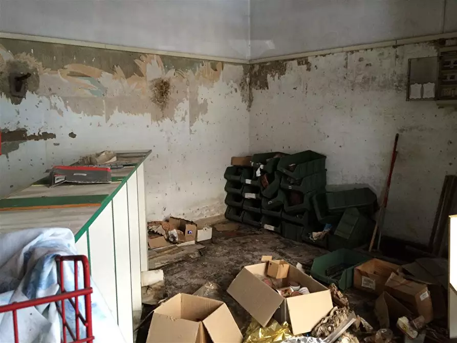 Immagine 2 di Attività commerciale in affitto  in via borsi 30 a Livorno