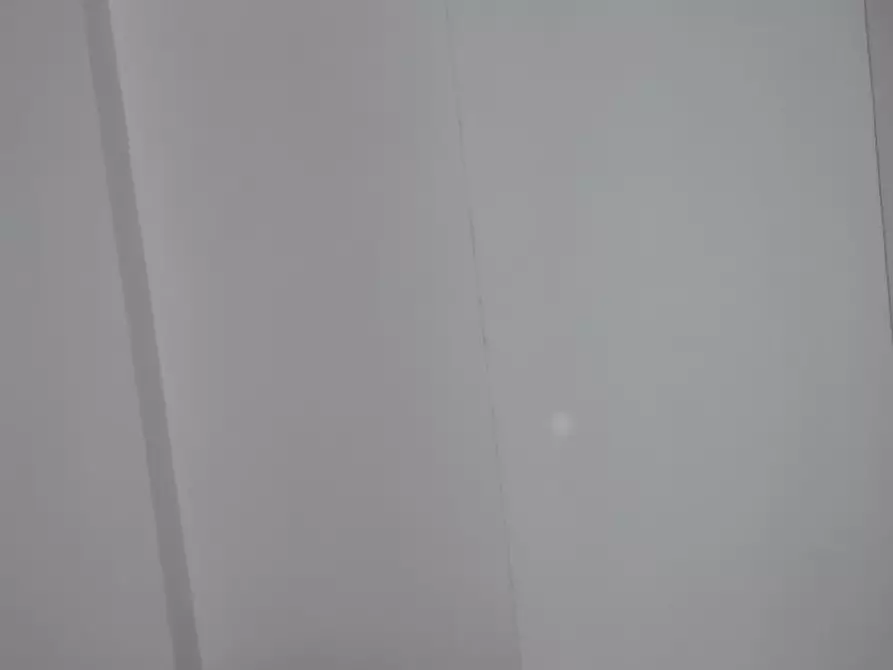 Immagine 4 di Attività commerciale in affitto  in Via Silvio Luschi a Pisa