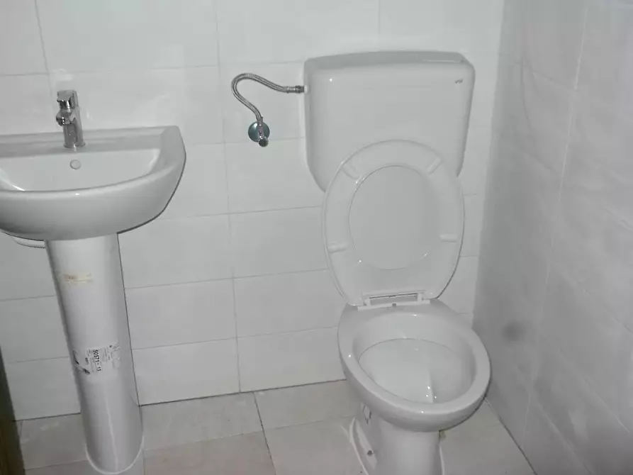 Immagine 2 di Attività commerciale in affitto  in Via Silvio Luschi a Pisa