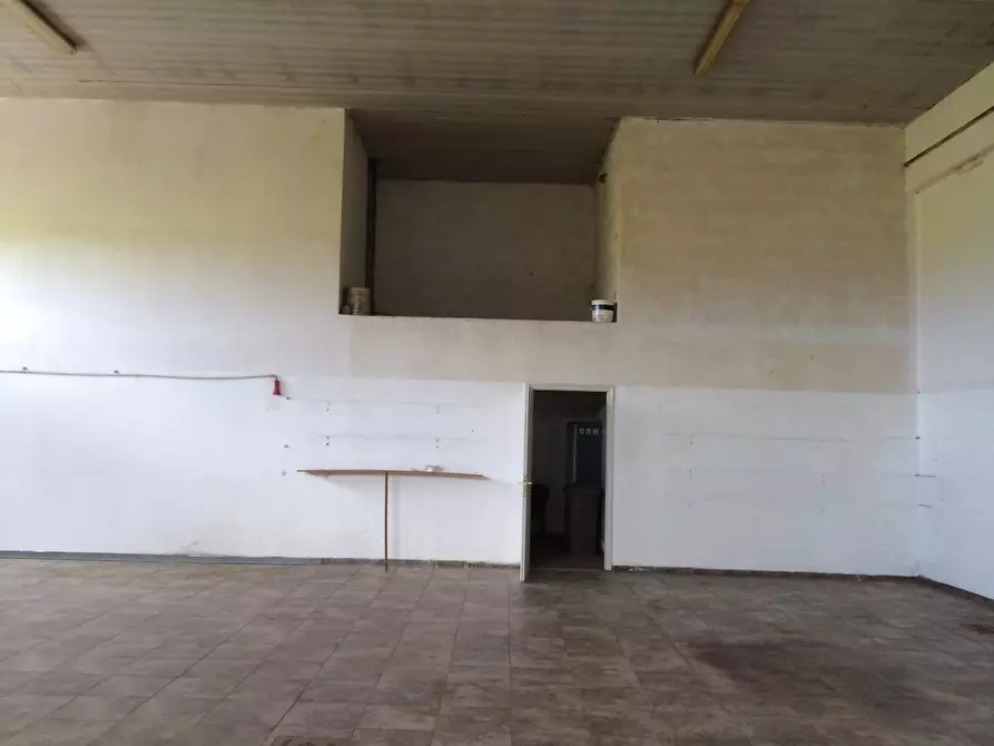 Immagine 3 di Attività commerciale in affitto  in via lenin a San Giuliano Terme