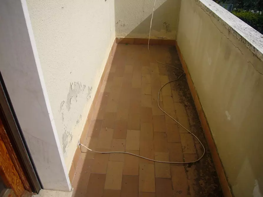 Immagine 9 di Appartamento in affitto  in via pardi 2 a Pisa