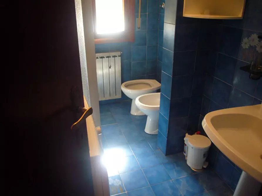 Immagine 11 di Appartamento in affitto  in via pardi 2 a Pisa