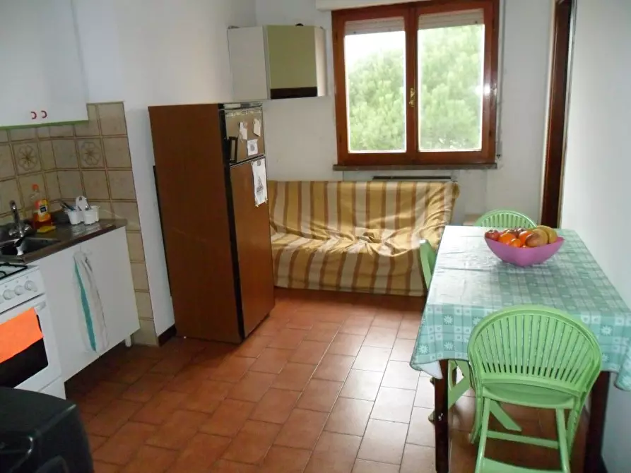 Immagine 2 di Appartamento in affitto  in Via Antonio Pesenti 15 a Pisa