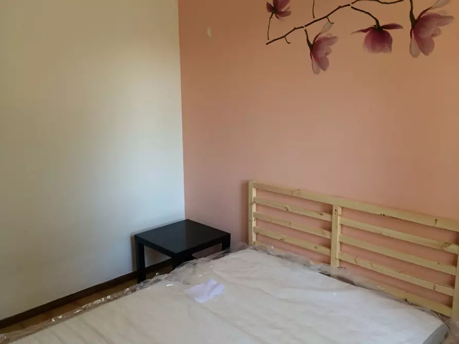 Immagine 9 di Appartamento in affitto  in Via Di Gagno 12 a Pisa