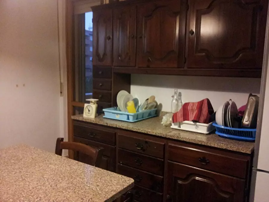 Immagine 6 di Camera in affitto  in Via Raffaello Sanzio 25 a Pisa