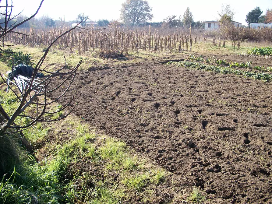 Immagine 1 di Terreno agricolo in affitto  in Via Di Padule a Pisa